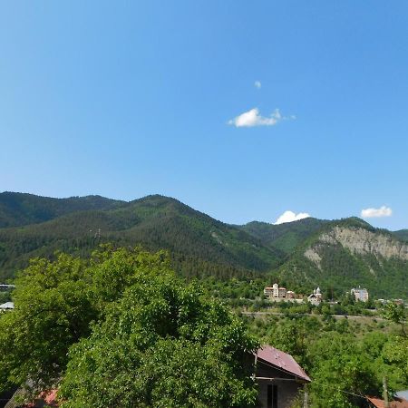 Akaki'S Guesthouse Borjomi Bagian luar foto